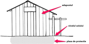 Chicken-Coop-Buried-Chicken-Wire