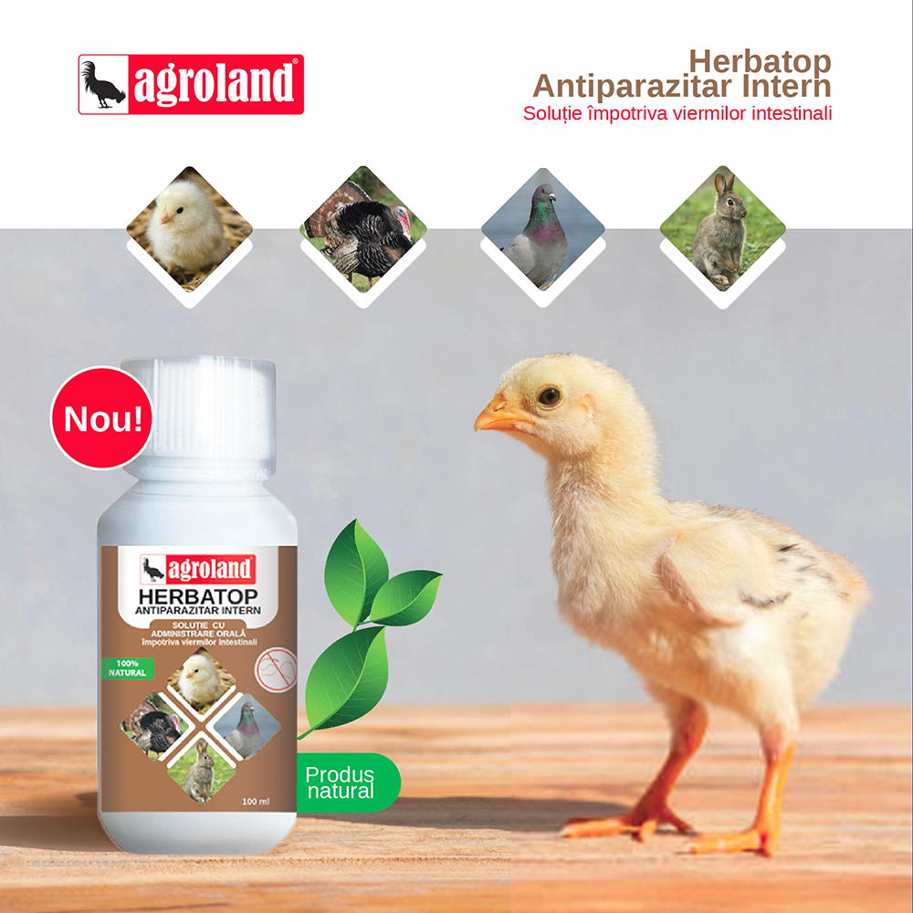 Rombendazol F comprimate – Farmacia Animalelor