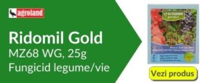 Ridomil Gold - fungicid